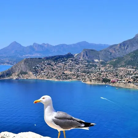 Maryvilla 0129 Villa Calpe