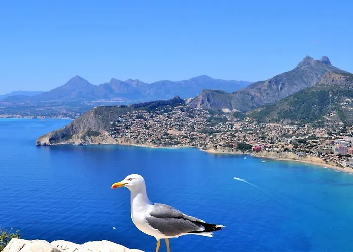 Maryvilla 0129 Vila Calpe